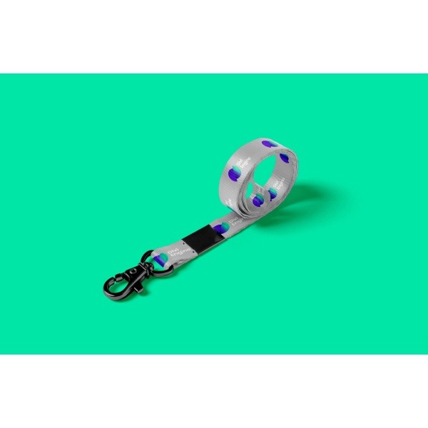 Lanyard